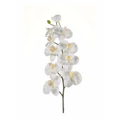 Kunstbloem - orchidee - wit - 100 cm product