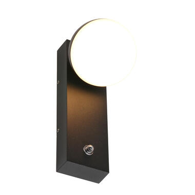 Steinhauer Buitenlamp Ball - LED - 1 licht - dag nacht sensor - zwart product