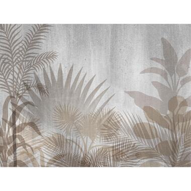 Sanders & Sanders fotobehang - tropische planten - beige en grijs product