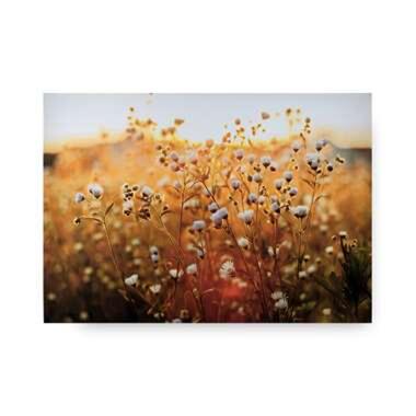 Art for the Home - Canvas - Bloemenveld - 70x100 product
