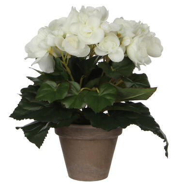 Mica Decoration Kunstplant - begonia - wit - in grijze pot - 25 cm product