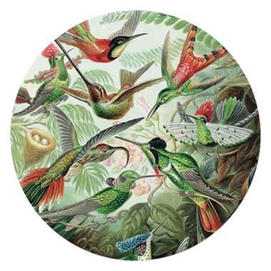 Glasschilderij Hummingbirds Ø 70 cm Groen Glas product