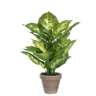 Mica Decorations Kunstplant Dieffenbachia - groen - 40 cm - in pot product