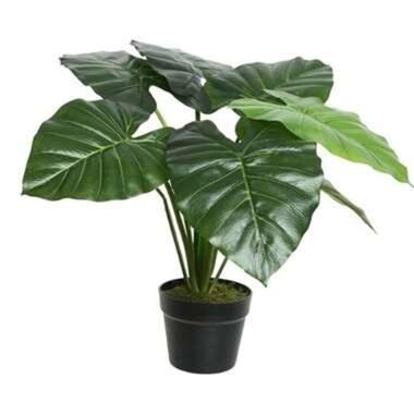 Bellatio flowers & plants Kunstplant - Colocasia taro - 52 cm product