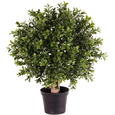 Bellatio flowers & plants Kunstplant - buxusbol op stam - 36 cm product