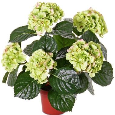 Kunstplant Hortensia - wit met groen - 36 cm product