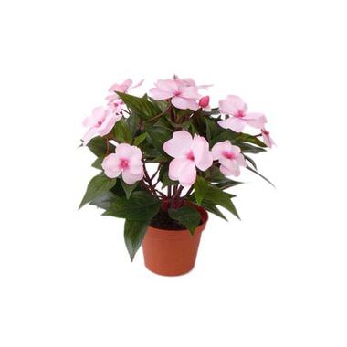 Bellatio flowers & plants Kunstplant - Vlijtig Liesje - roze - 25 cm product