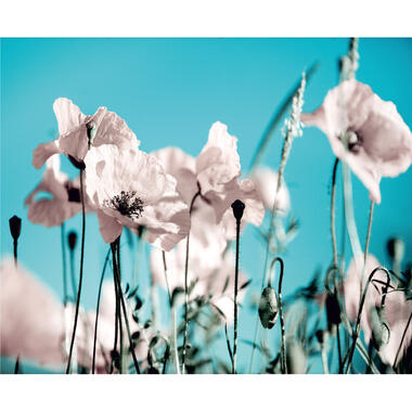 Sanders & Sanders fotobehang - bloemen - blauw en roze - 360 x 270 cm product