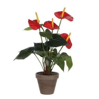 Kunstplant Anthurium - rood - in grijze pot - 40 cm product