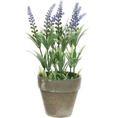 Bellatio flowers & plants Kunstplant - lavendel - grijze pot - 25 cm product
