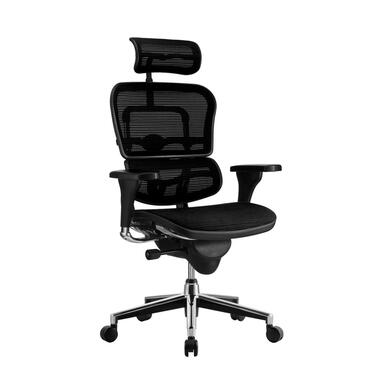 COMFORT bureaustoel Ergohuman Classic (met hoofdsteun) - Mesh zitting product