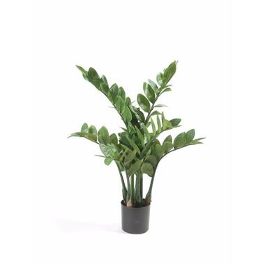 Bellatio flowers & plants Kunstplant - Zamioculcas - groen - 70 cm product