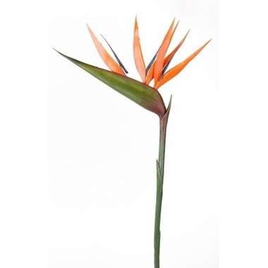 Bellatio flowers & plants Kunstbloem - strelitzia - oranje - 90 cm product