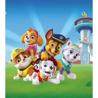 Sanders & Sanders fotobehang - PAW patrol - blauw en groen product