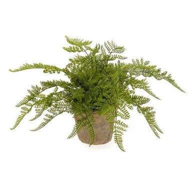 Bellatio flowers & plants Kunstplant - varen - groen - 30 cm product