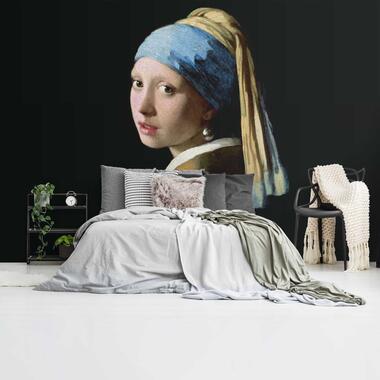 Fotobehang - Vermeer Meisje met de parel - 260x384 cm 130 grams mat vlies product