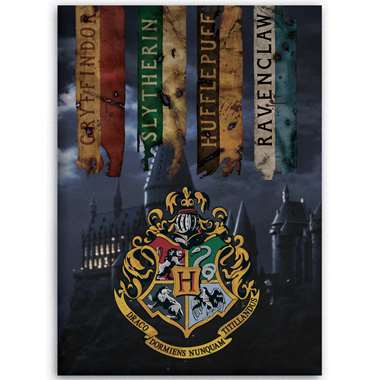 Harry Potter Fleeceplaid Zweinstein - 100 x 140 cm - Multi product