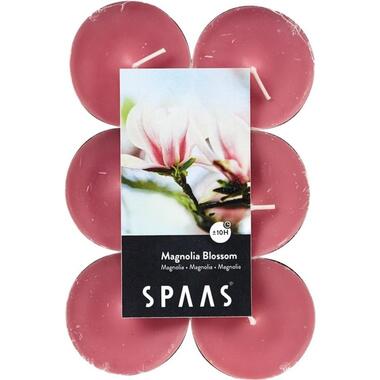 Candles by Spaas Geurkaarsen - magnolia bloesem - 12x - ca 10 uren product
