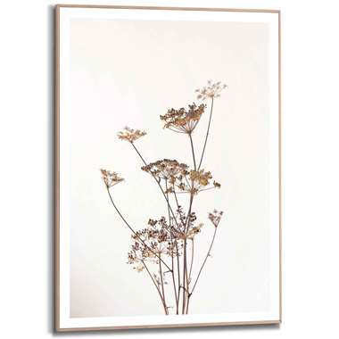 Poster met lijst Berenklauw - 70x50 cm - Leen Bakker