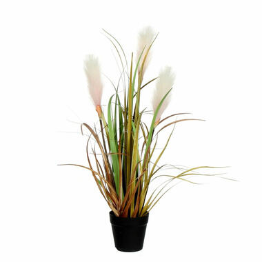 Mica Decorations Kunstplant - pluimgras - siergras - in pot - 53 cm product