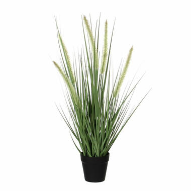 Mica Decorations Kunstplant dogtail sierplant - 53 cm - in zwart pot product