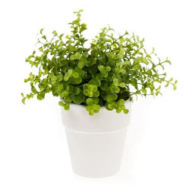 Bellatio flowers & plants Kunstplant - Eucalyptus - in pot - 22 cm product