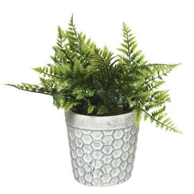 Decoris Kunstplant - varen - in pot - 23 cm product