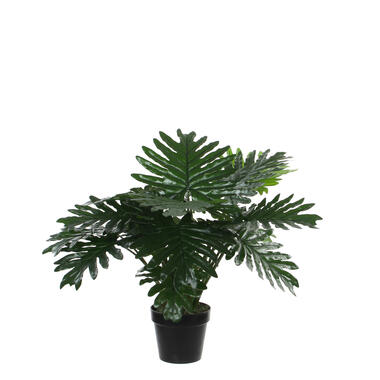 Mica Decorations Philodendron Kunstplant - H60 x Ø70 cm product