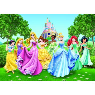 Disney fotowand - prinsessen - groen, geel en blauw - 360 x 254 cm product