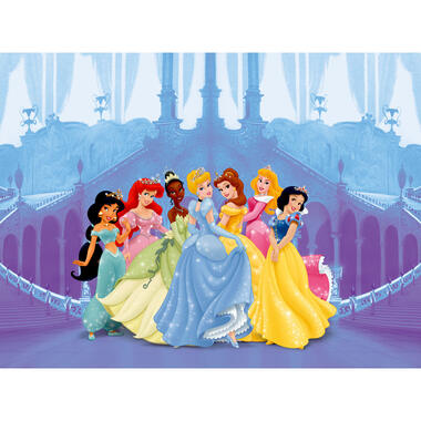 Disney fotowand - prinsessen - blauw, roze en paars - 360 x 254 cm product