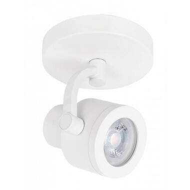 Highlight Spot Alto - LED - 1 lichts- wit product