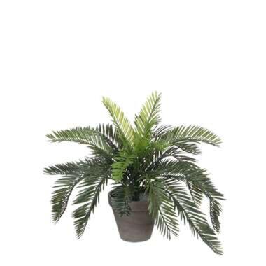 Mica Decorations Cycas Palm Kunstplant Groen product
