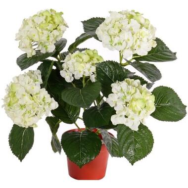 Kunstplant Hortensia - wit met groen - 36 cm product