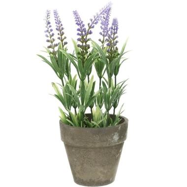Bellatio flowers & plants Kunstplant - lavendel - grijze pot - 25 cm product