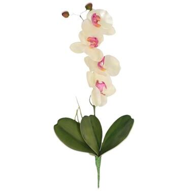 Bellatio flowers & plants Kunstbloem - orchidee - wit - 44 cm product