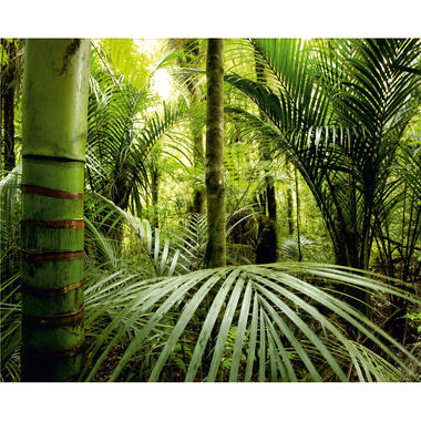 Sanders & Sanders fotobehang - jungle-motief - groen - 360 x 270 cm product