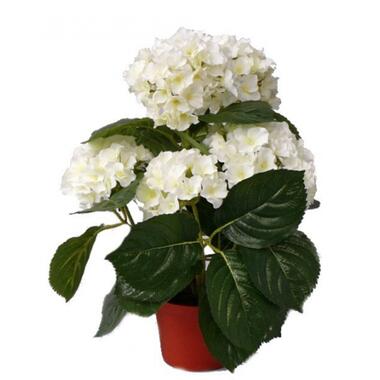 Bellatio flowers & plants Kunstplant - Hortensia - wit - 36 cm product