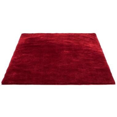 Vloerkleed Tessa - rood - 160x230 cm product