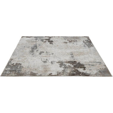 Vloerkleed Luco beige/taupe - 200x240 cm product