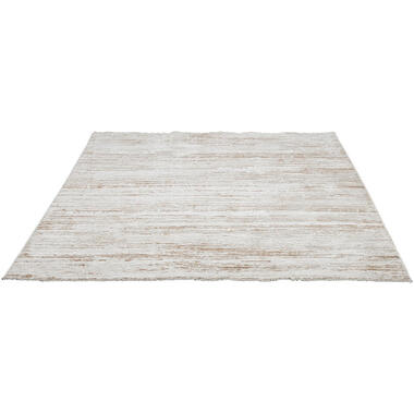 Vloerkleed Sicco - beige/taupe - 160x240 cm