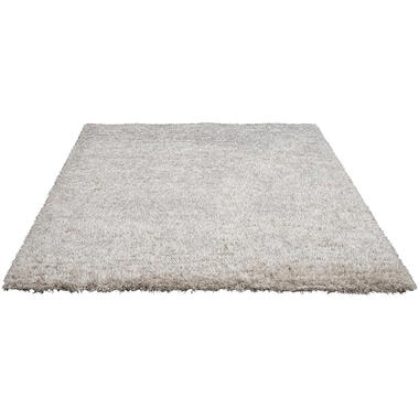 Vloerkleed Rengali - taupe - 200x290 cm product