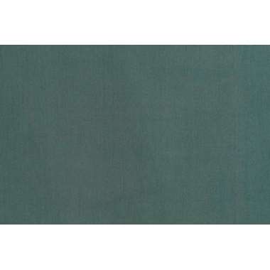 Gordijn Jesse - groen - 280x140 cm (1 stuk) - Leen Bakker