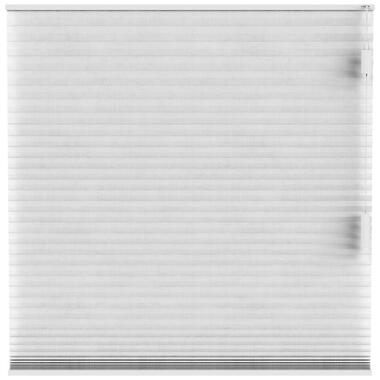 Fenstr plisségordijn Sidney dubbel 25mm transparant - wit (10326) - Leen Bakker