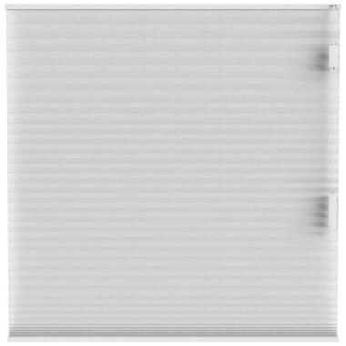 Fenstr plisségordijn Cambridge dubbel 25mm transparant - wit (10325) - Leen Bakker