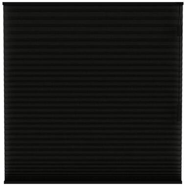 Fenstr plisségordijn Chicago dubbel 25mm lichtdoorlatend - zwart (15019) - Leen Bakker