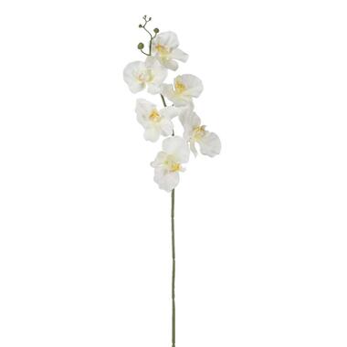Kunstbloem Orchidee - wit - Leen Bakker