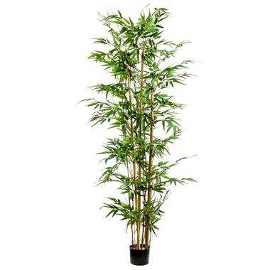 Kunstplant bamboe in pot - 175 cm product