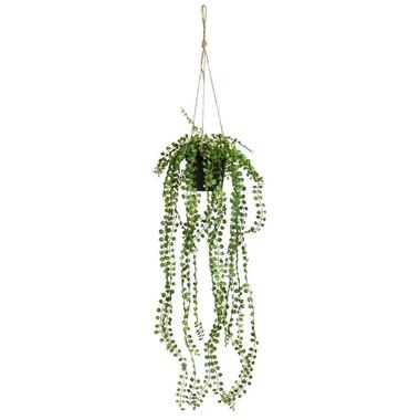 Kunsthangplant Ficus Pumila - groen - 60 cm product