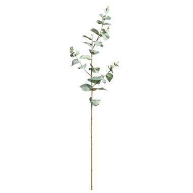Leen Bakker Eucalyptus tak - groen - 68 cm