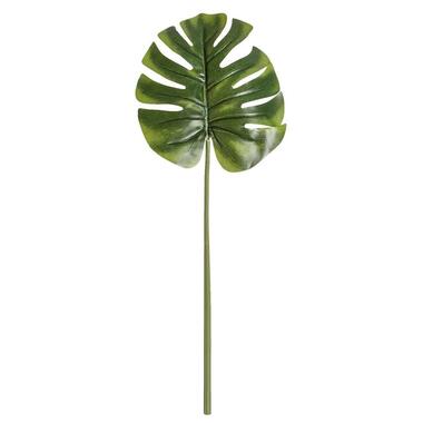 Monstera blad - groen - 73 cm - Leen Bakker